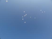 Ballons dans le ciel